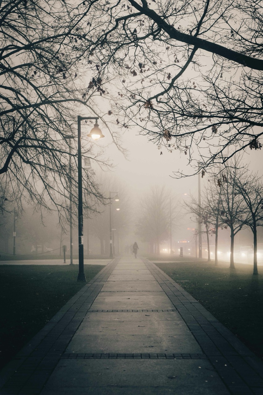 foggy park